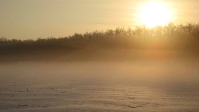 Поднаторел в